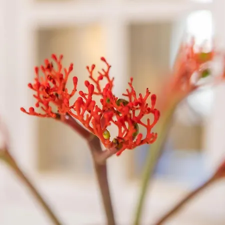 アパート Living & Lifestyle - - By Hello Sea Homes クライペダ